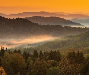 Góry, Mgła, Lasy, Wzgórza