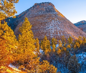 Jesień, Checkerboard Mesa, Utah, Drzewa, Góra, Stany Zjednoczone, Park Narodowy Zion