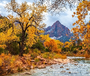 Rzeka, Kamienie, Góra Watchman, Park Narodowy Zion, Stany Zjednoczone, Jesień, Drzewa, Stan Utah, Virgin River