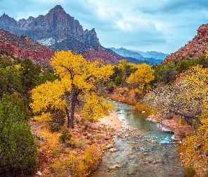 Stany Zjednoczone, Park Narodowy Zion, Drzewa, Utah, Góra Watchman, Góry, Rzeka, Virgin River, Jesień, Kamienie