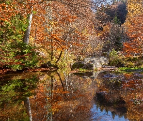 Skały, Kamienie, Jesień, Las, Drzewa, Staw