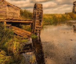 Rośliny, Trawa, Wiatrak, Rzeka, Stary, Młyn