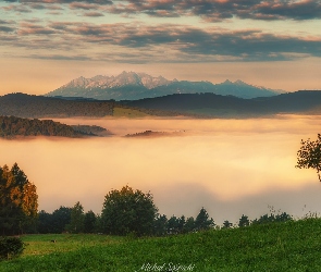 Beskid Sądecki, Chmury, Lasy, Polska, Mgła, Góry, Drzewa