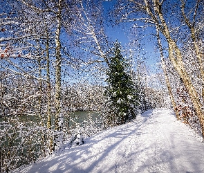 Zima, Drzewa, Rzeka, Śnieg, Droga
