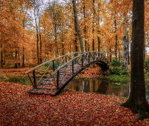 Park, Rzeczka, Jesień, Drzewa, Liście, Mostek