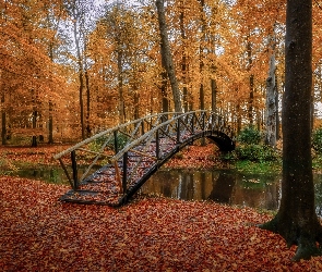 Jesień, Liście, Rzeczka, Park, Mostek, Drzewa