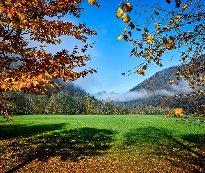 Hagertal, Mgła, Drzewa, Austria, Góry, Łąka, Las