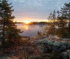 Rosja, Wschód słońca, Chmury, Drzewa, Jezioro Ładoga