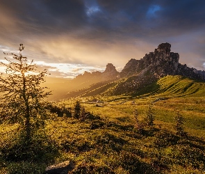 Góra Ra Gusela, Wschód słońca, Dolomity, Góry, Włochy, Droga, Chmury, Drzewo, Przełęcz Giau Pass