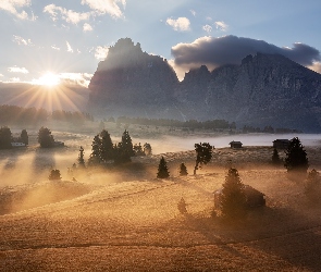 Włochy, Drzewa, Drewniane, Mgła, Domki, Góry Sassolungo, Płaskowyż Seiser Alm, Dolina Val Gardena, Dolomity