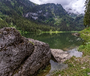 Kamień, Drzewa, Jezioro Voralpsee, Alpy, Kanton Sankt Gallen, Góry, Szwajcaria, Lasy