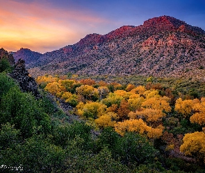 Arizona, Kanion Sycamore, Kolorowe, Stany Zjednoczone, Góry, Jesień, Drzewa