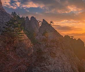 Góry, Zachód słońca, Sosna, Drzewa, Skały