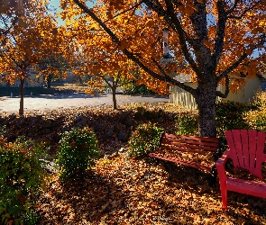 Drzewo, Krzesło, Ławeczka, Dąb, Jesień