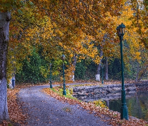 Staw, Park, Droga, Jesień, Drzewa, Latarnie