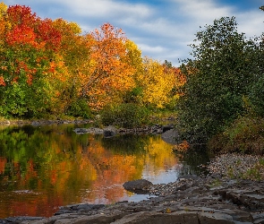 Jesień, Kamienie, Drzewa, Rzeka, Kolorowe