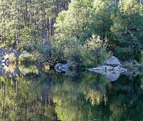 Jezioro, Odbicie, Las, Kamienie, Drzewa