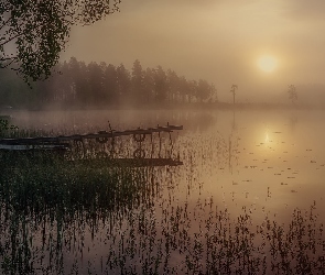 Mgła, Jezioro, Słońce, Pomost, Łódka, Drzewa