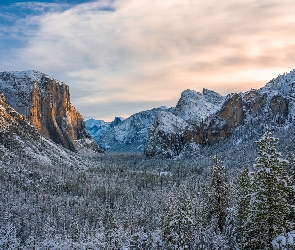 Stany Zjednoczone, Lasy, Drzewa, Stan Kalifornia, Park Narodowy Yosemite, Yosemite Valley, Zima, Ośnieżone, Dolina, Góry