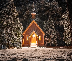 Drzewa, Kaplica, Las, Zima, Stany Zjednoczone, Park Narodowy Yosemite, Kościółek, Stan Kalifornia, Oświetlona