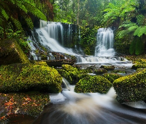 Wodospad, Tasmania, Paprocie, Australia, Park Narodowy Mount Field, Kamienie, Horseshoe Falls, Skały, Omszone