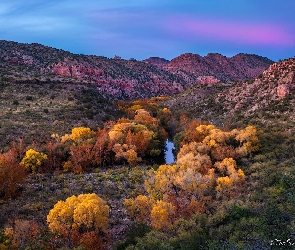 Kolorowe, Kanion Sycamore, Jesień, Góry, Arizona, Drzewa, Stany Zjednoczone, Rzeka
