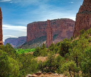 Drzewa, Skały, Stan Utah, Stany Zjednoczone, Park Narodowy Zion, Kanion Zion Narrows