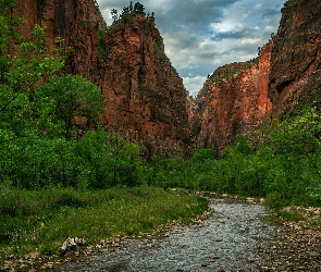 Rzeka, Kamienie, Kanion Zion Narrows, Drzewa, Stan Utah, Virgin River, Stany Zjednoczone, Park Narodowy Zion