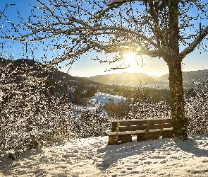 Góry, Śnieg, Ławka, Zima, Drzewo, Krzewy