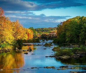 Jesień, Kamienie, Most, Drzewa, Rzeka