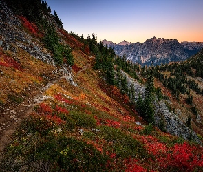 Jesień, Ścieżka, Roślinność, Kolorowa, Góry