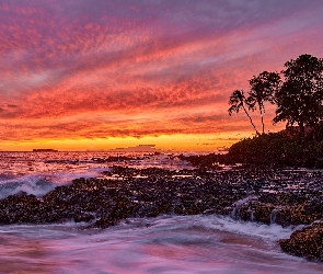Palmy, Skały, Wyspa Maui, Zachód słońca, Fale, Hawaje, Morze