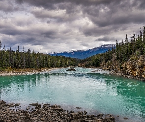 Góry, Kamienie, Rzeka Athabaskana, Świerki, Alberta, Skały, Kanada, Park Narodowy Jasper