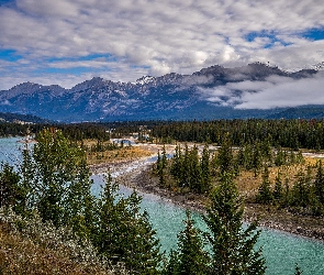 Kanada, Alberta, Rzeka Mietle, Góry, Świerki, Park Narodowy Jasper