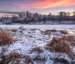 Rosja, Starica, Cerkiew, Obwód moskiewski, Śnieg, Rzeka Wołga, Szron, Trawa, Zima, Drzewa