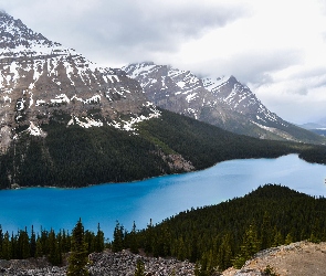 Kanada, Chmury, Skały, Alberta, Peyto Lake, Jezioro, Góry, Drzewa, Park Narodowy Banff, Lasy