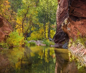 Arizona, Oak Creek Canyon, Stany Zjednoczone, Wąwóz, Skały, Sedona, Drzewa, Rzeka Oak Creek