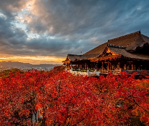 Świątynia, Kioto, Japonia, Promienie słońca, Jesień, Kiyomizu-dera, Drzewa, Dzielnica Higashiyama