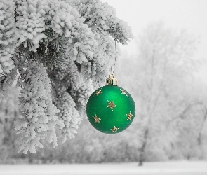 Drzewa, Boże Narodzenie, Zielona, Bombka, Śnieg