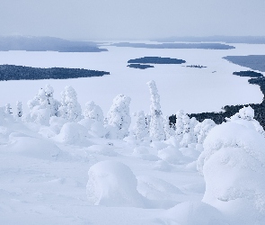 Jezioro, Góry, Zima, Drzewa