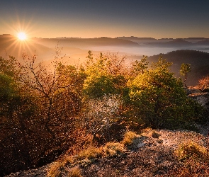 Słowacja, Sulov, Góry, Wschód słońca, Jesień, Roślinność