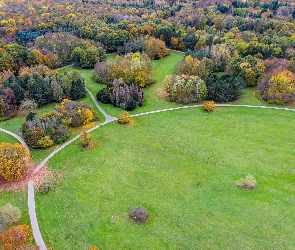 Park, Z lotu ptaka, Drzewa, Ścieżki, Alejki