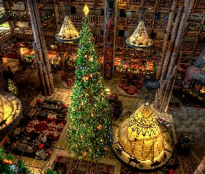Choinka, Boże Narodzenie, Stany Zjednoczone, Disneys Wilderness Lodge, Hol, Orlando, Hotel