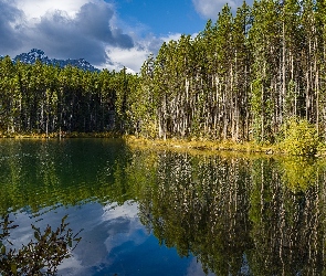 Odbicie, Gór, Las, Jezioro, Drzewa, Szczyty