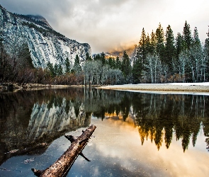 Góry, Kalifornia, Odbicie, Stany Zjednoczone, Park Narodowy Yosemite, Las, Rzeka, Merced River, Drzewa