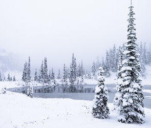 Stany Zjednoczone, Park Narodowy Mount Rainier, Jezioro, Stan Waszyngton, Drzewa, Ośnieżone, Świerki, Zamglone, Zima, Góry
