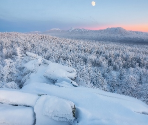 Zima, Śnieg, Skały, Góry, Ośnieżone, Drzewa