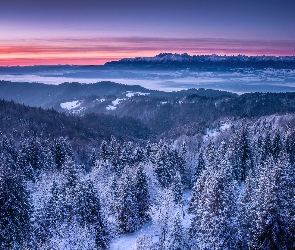 Zima, Śnieg, Zachód słońca, Lasy, Drzewa, Góry