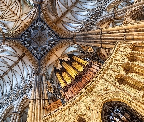 Organy, Wnętrze, Anglia, Kościół Błogosławionej Dziewicy Marii, Katedra, Lincoln, Sklepienie