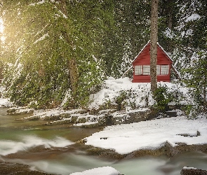 Rzeka, Zima, Stan Waszyngton, Stany Zjednoczone, Drzewa, Śnieg, Dom, Las, Snoqualmie River